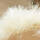 Designer Schaukelpferdchen 4079 |Arve | roh