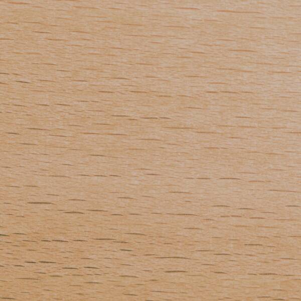 Buche lackiert